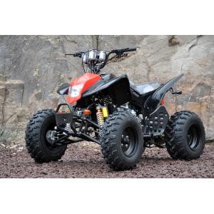 ATV Tiger QW-250cc ( liquid cooling )