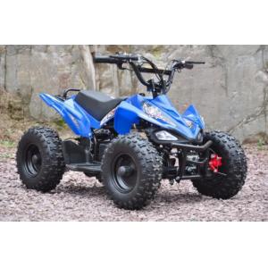 Electric Quad bike QWMATV-01  500W MINI SPORTS