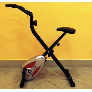 Indoor Cycling Bike X-Bike SB-810D