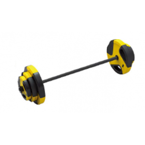 Rod with discs 20kg